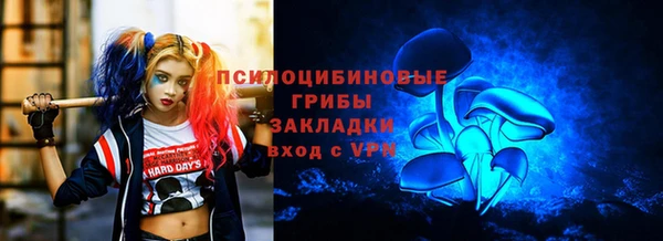 амф Нефтекумск