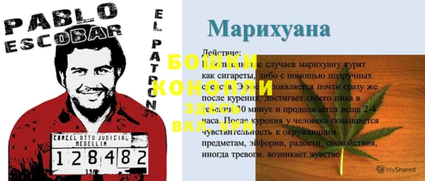 MESCALINE Новодвинск